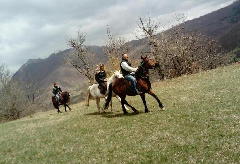 هاستل Kuća Dragović Apartman