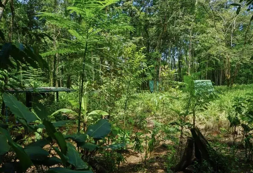 ペンション Hospedaje El Bosquecito