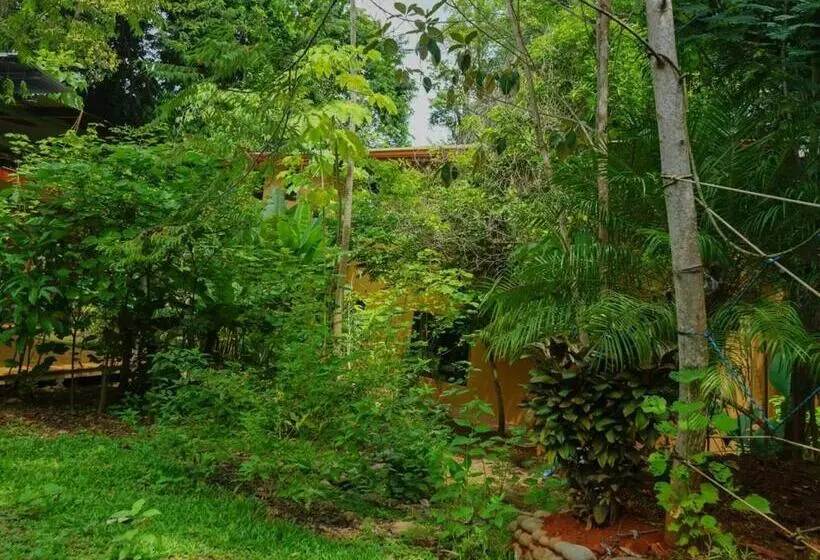 ペンション Hospedaje El Bosquecito
