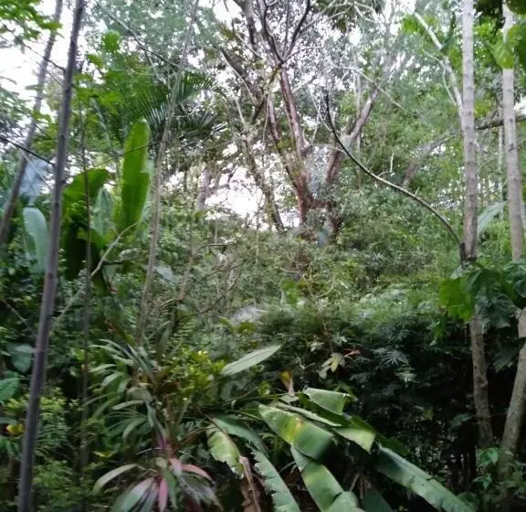 ペンション Hospedaje El Bosquecito