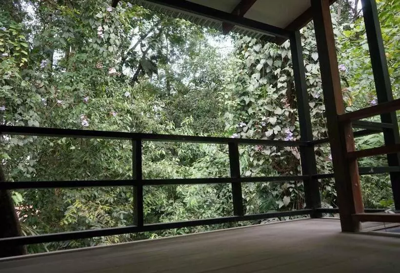 ペンション Hospedaje El Bosquecito