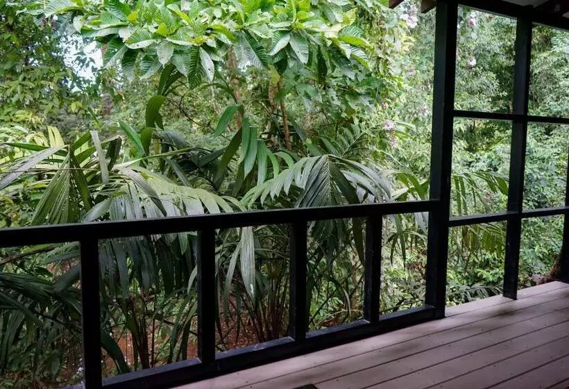 ペンション Hospedaje El Bosquecito
