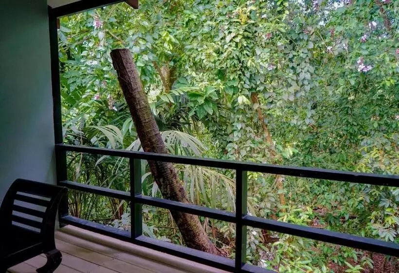 ペンション Hospedaje El Bosquecito