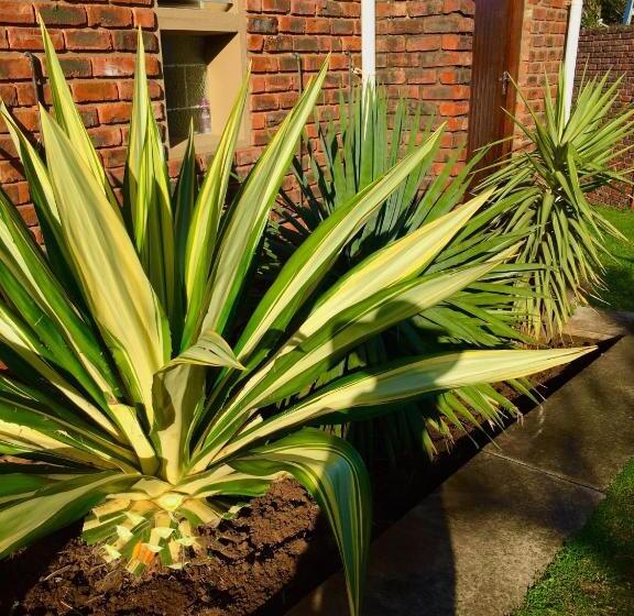 Pension Summer Vintage Home In Gonubie Just A Walk To The Beach!