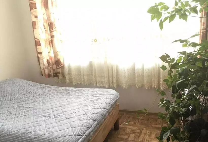 پانسیون The Mamedov S House