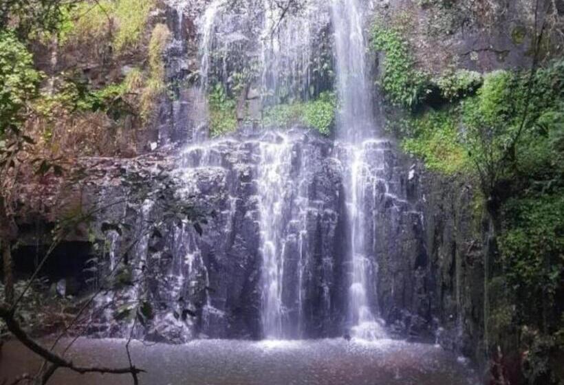 リゾートホテル Blue Zone Leisure At Mount Sheba