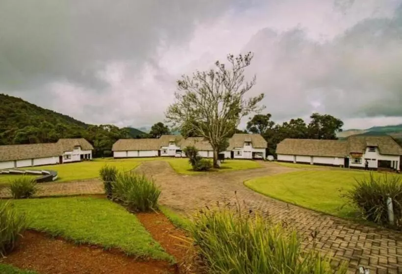 リゾートホテル Blue Zone Leisure At Mount Sheba