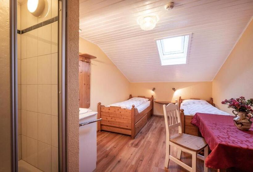 Общежитие Berghütte Burgweghof Jugendgästehaus