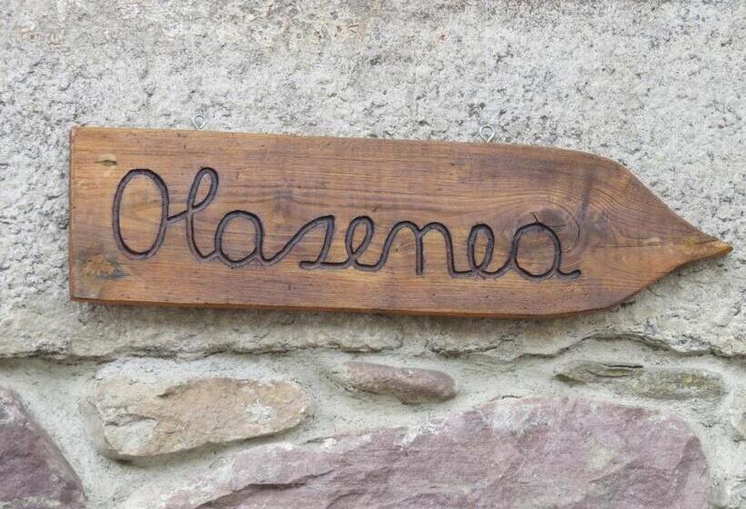 Albergue Olasenea Aterpea