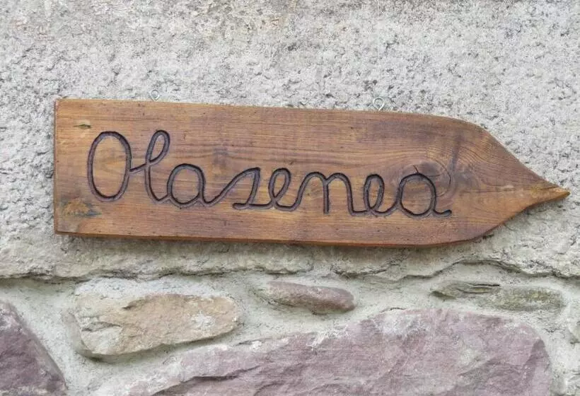 Albergue Olasenea Aterpea