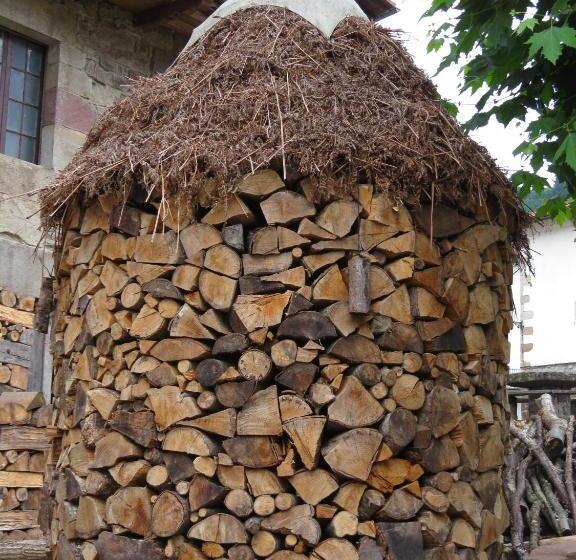 Albergue Olasenea Aterpea