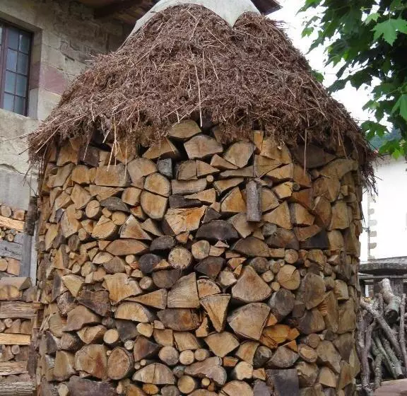 Albergue Olasenea Aterpea