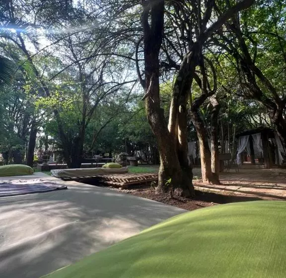 Retkeilymaja Pousada Cata Branca