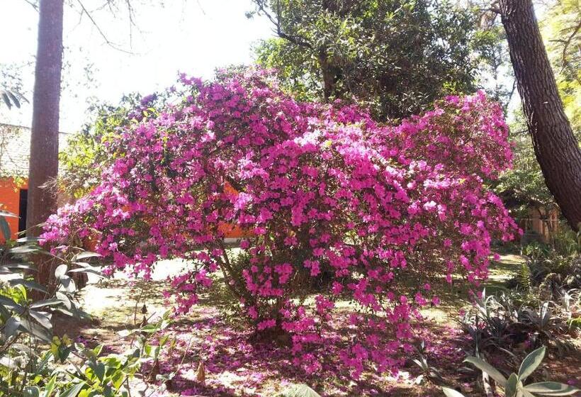 旅馆 Pousada Cata Branca