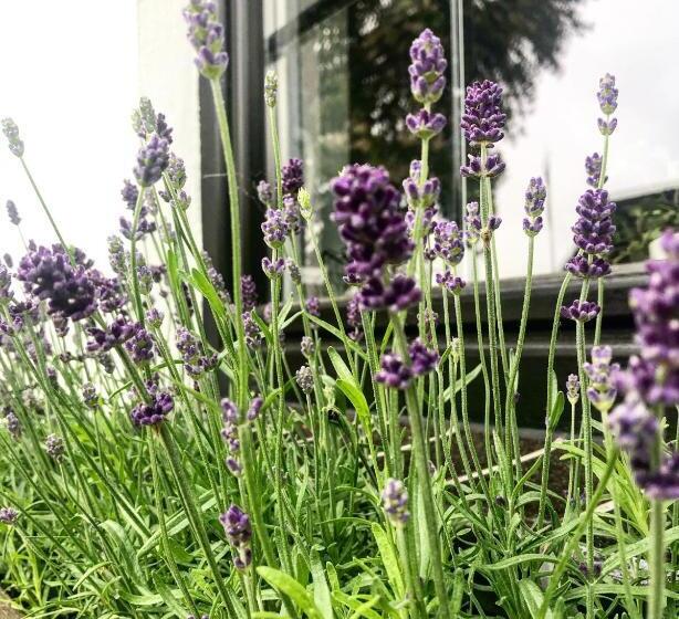 Bed And Breakfast 33