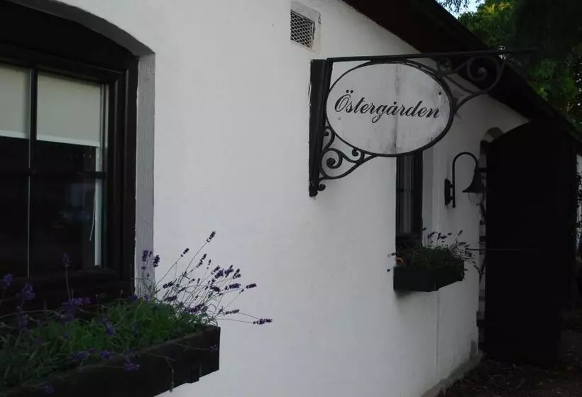 Bed And Breakfast 33