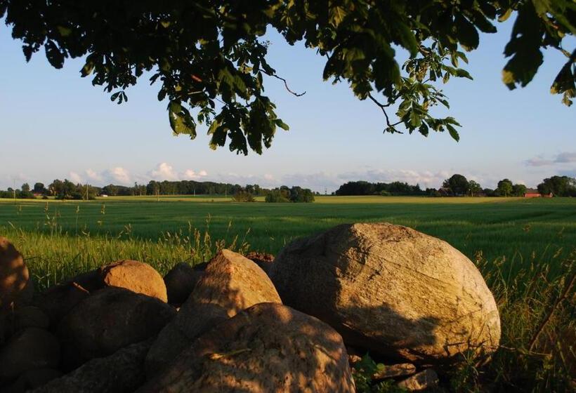 Bed And Breakfast 33