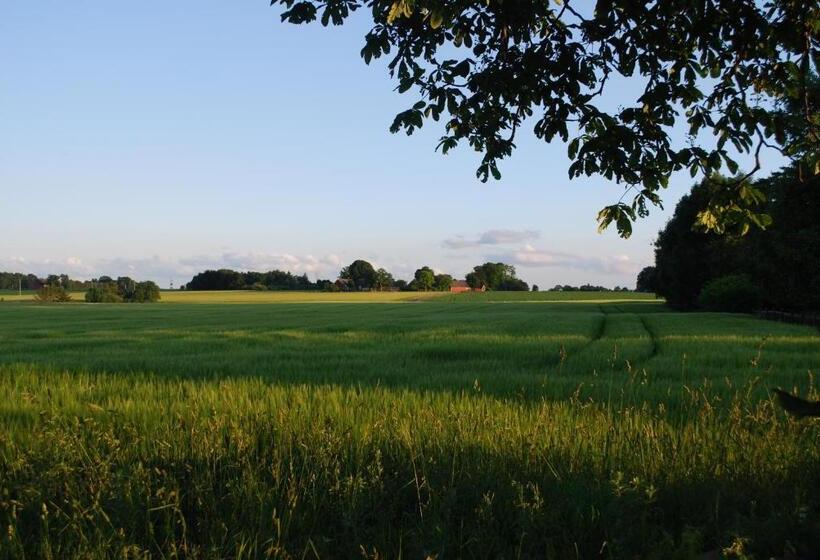 Bed And Breakfast 33