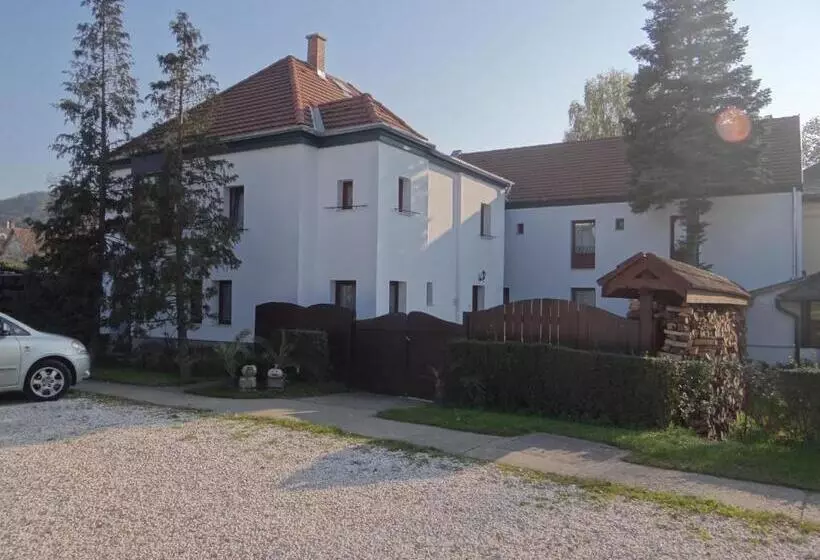 Aamiaismajoitus (B&B) Holló Panzió