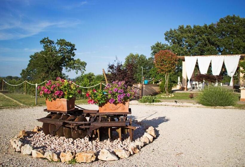 ベッドアンドブレックファースト La Collina Di Montecchio