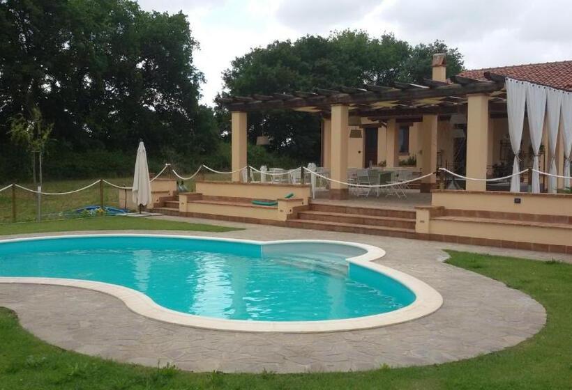 Bed and Breakfast La Collina Di Montecchio