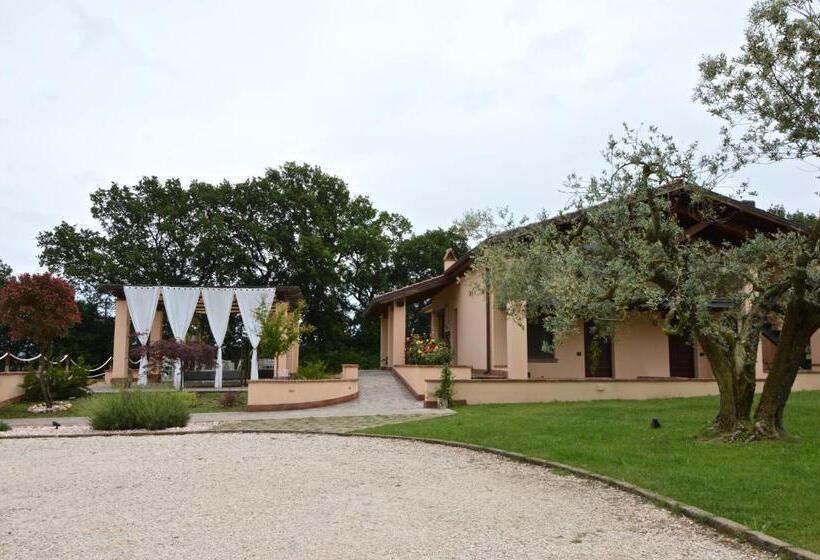 Bed and Breakfast La Collina Di Montecchio