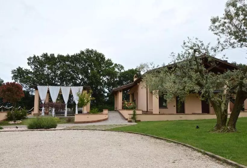 ベッドアンドブレックファースト La Collina Di Montecchio