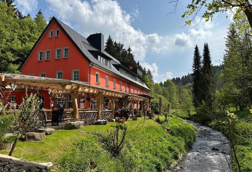 Erlebnishotel & Restaurant Fichtenhäusel Am Pöhlagrund