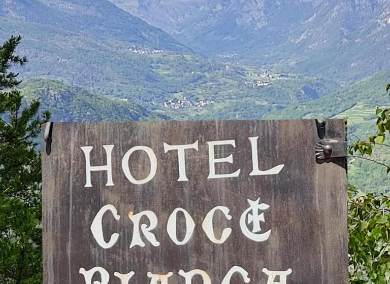 酒店 Albergo Croce Bianca