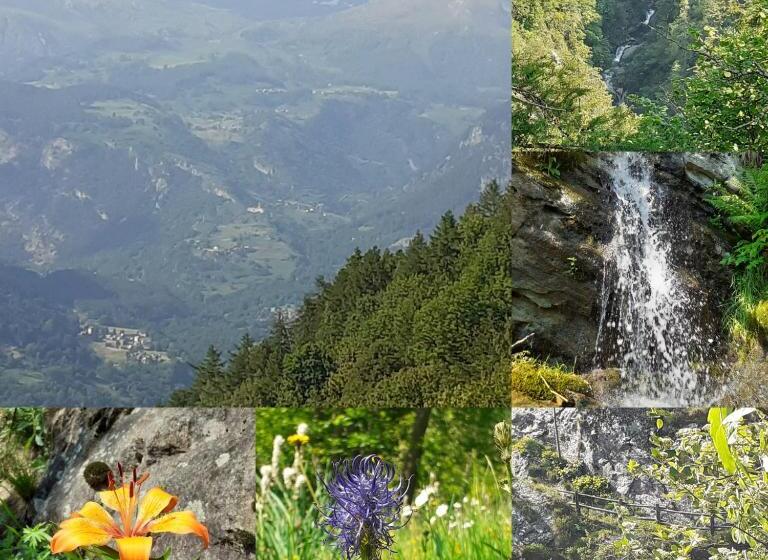 酒店 Albergo Croce Bianca