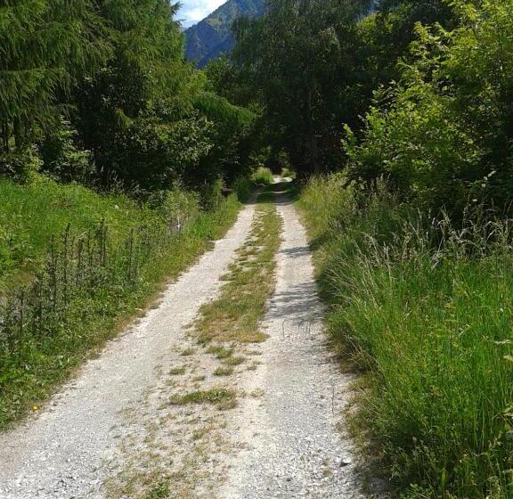 酒店 Albergo Croce Bianca