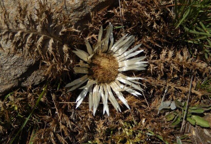 هتل Albergo Du Soleil