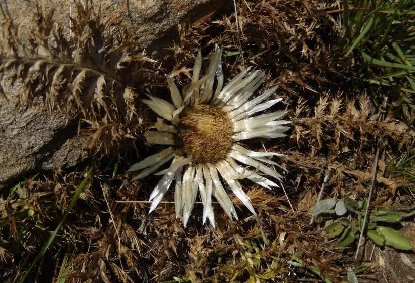 Hotelli Albergo Du Soleil