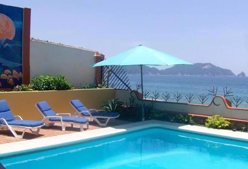 Hotelli La Paloma Oceanfront Retreat