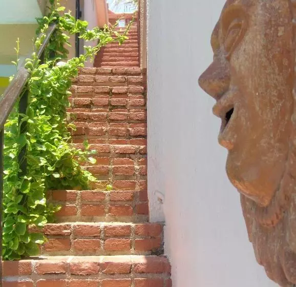 Hotelli La Paloma Oceanfront Retreat