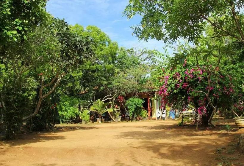 Kamlo Beach Resort