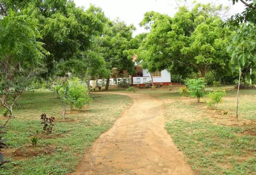 Kamlo Beach Resort
