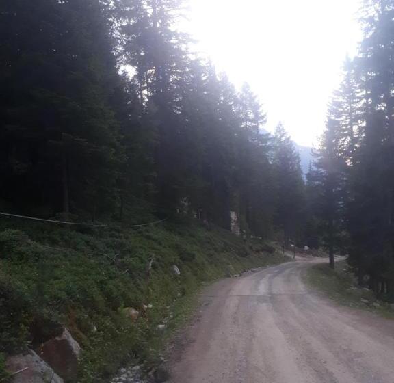 پانسیون Alpengasthof Sonneck