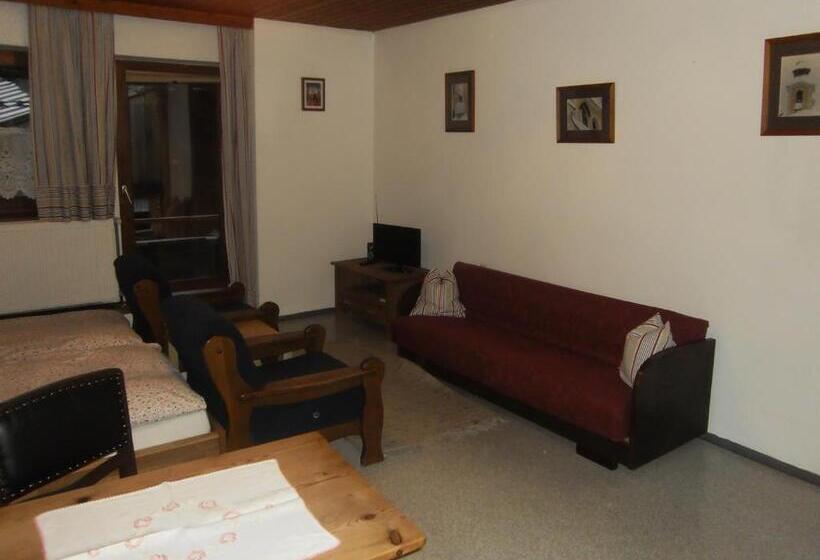 پانسیون Binderhof