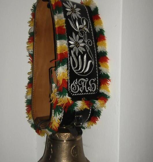 پانسیون Binderhof