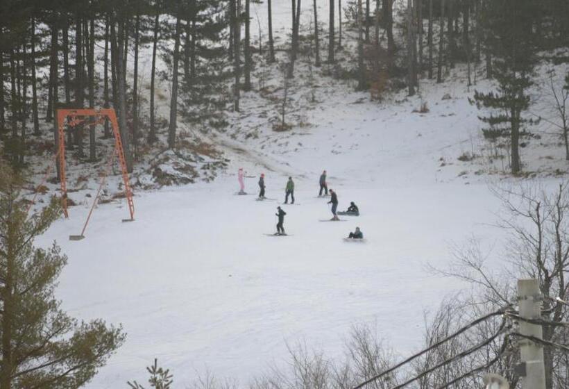 پانسیون Guest House Vila Horizont