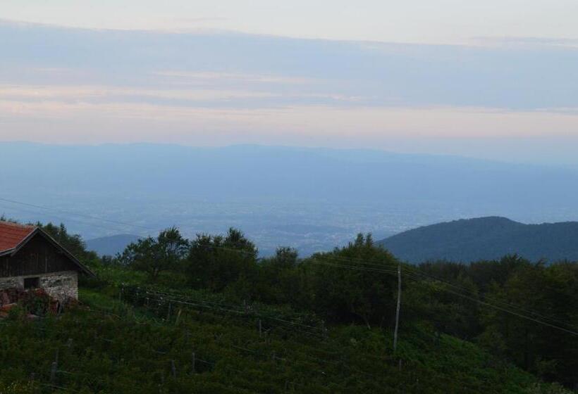 پانسیون Guest House Vila Horizont