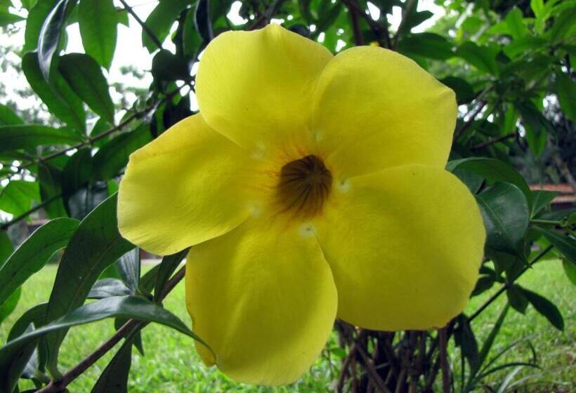 پانسیون Ilhabela Tênis Clube