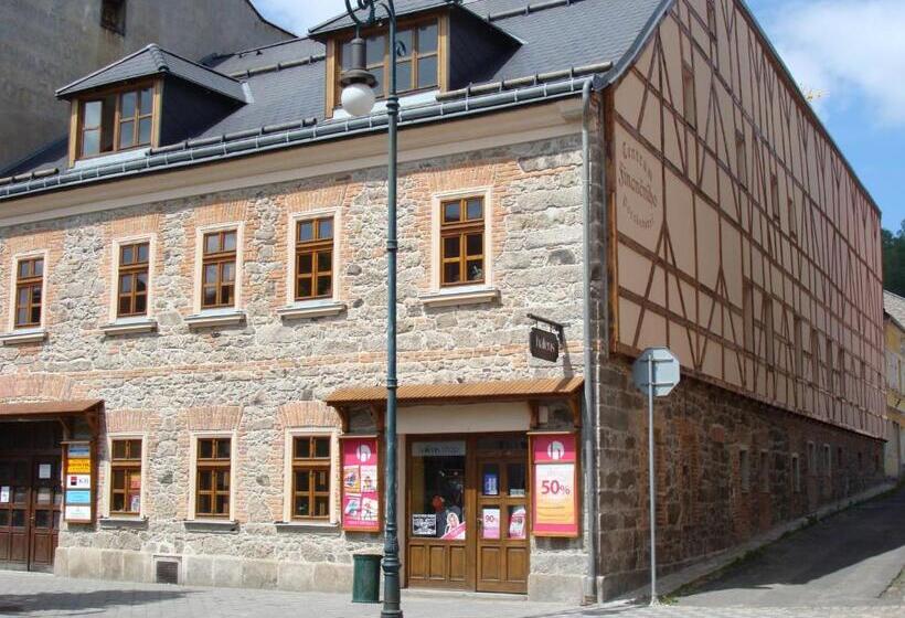 膳宿费 Penzion Anna