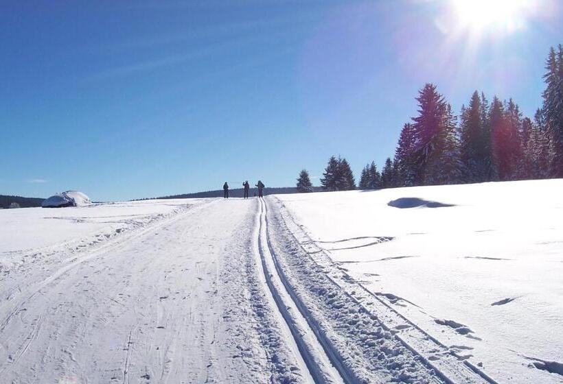 Пансион Penzion Vozzýk