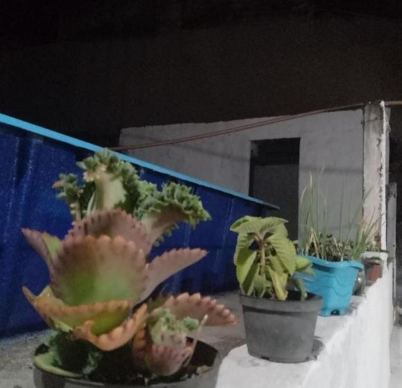 Auberge Hôtelière Cama 01 No Quarto Compartilhado