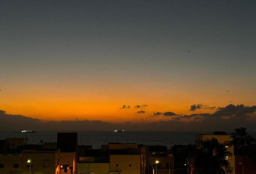 Общежитие Dinosaur Anza Surf House