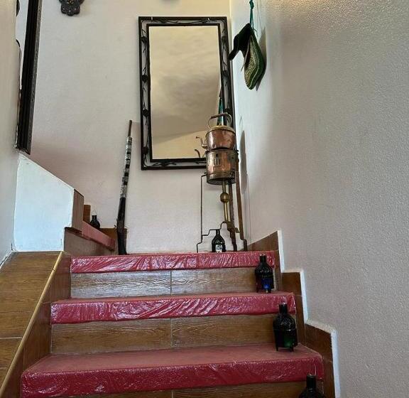 Общежитие Dinosaur Anza Surf House