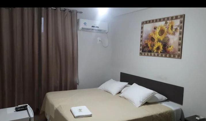 هاستل Joinvillense