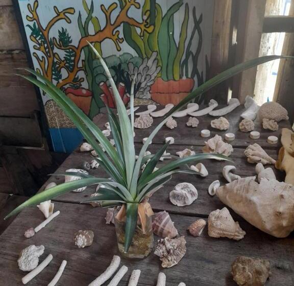 Bed and Breakfast Mi Cabañita Guest House